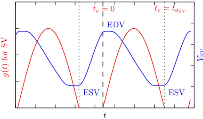Fig. 4. Relation of EDV and ESV times with respect to ventricle activation function: ventricular activation is shown in red and its volume in blue, both as a function of time