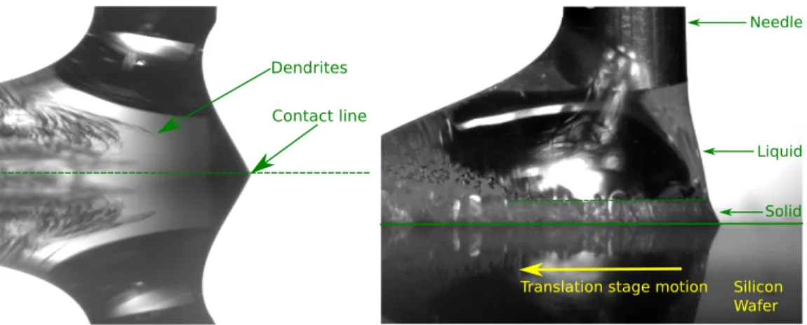 FIG. 2. Typical shape of the drop of hexadecane near the advancing line in the continuous regime (left:  T = 0 