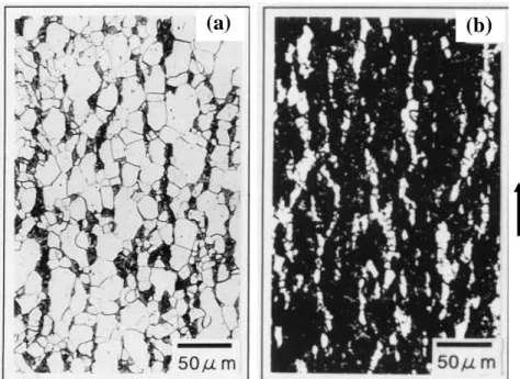 Figure 1.7 Microstructures of Fe-0.1C alloy (a) and Fe-0.6C alloy (b) subjected to the  α / γ inverse transformation under 8T magnetic field [50]