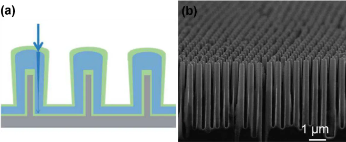 Figure 1.42: (a) The sketch of the nanowire design with the potential of increasing optical path and  enabling fast carrier extraction