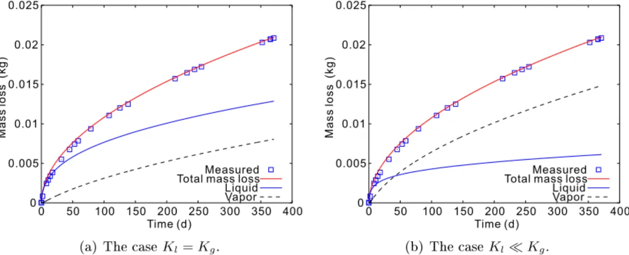 Figure 2.19: Simulation results of mass loss curves, including total, liquid-water and vapour, during drying of Paste4 (RH 0 = 89% and RH e = 53.5%).