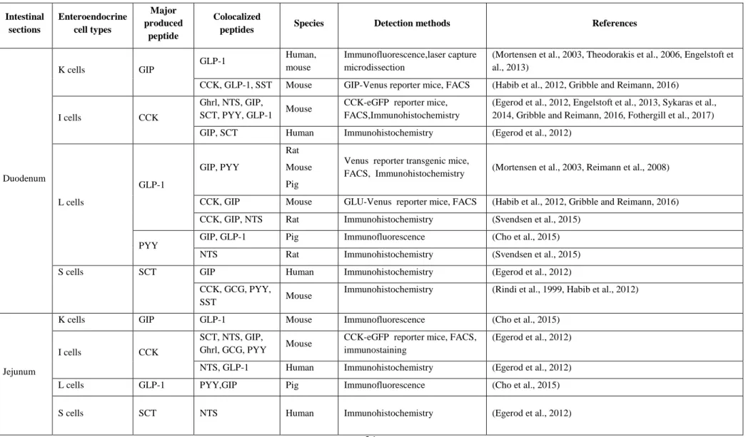 Table 2. Enteroendocrine cells and gut peptides colocalization along the gastrointestinal tract 