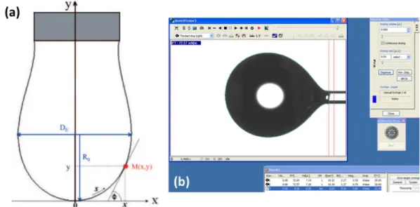 Figure  48.  (a)  Goutte  pendante  décrite  par  (Gassin,  2014) :  