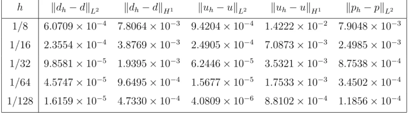 Table 2. We can notice that we do not need high accuracy in Algorithm 3. Indeed, according to the mesh size, the norm of the director field can be considered as satisfactory as soon as ε = 10 −2 .