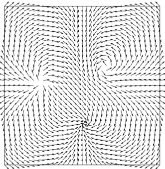 Figure 7: Director field on a square liquid crystal slab for p = 4, t stat = 0.609.