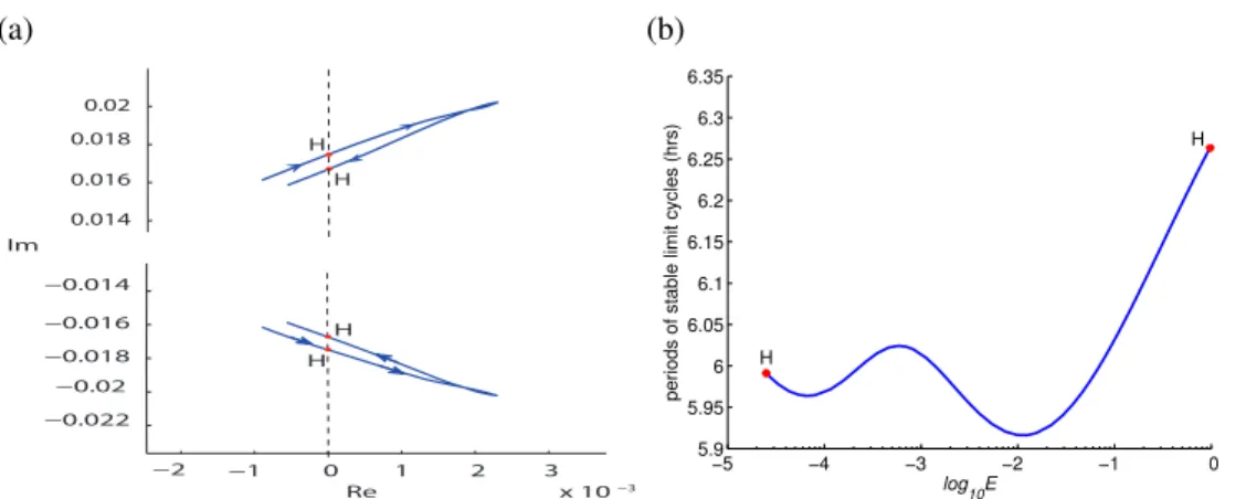 Figure 4.4: (a) Pair of eigenvalues crossing the imaginary axis for [E] = 2.5× 10 −5 and [E] = 0.97 and thus revealing Hopf bifurcation points