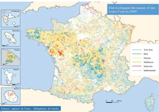 Figure 1 : Etat écologique des masses d’eau et cours d’eau en 2009 d’après les agences de l’eau  (http://www.rapportage.eaufrance.fr)