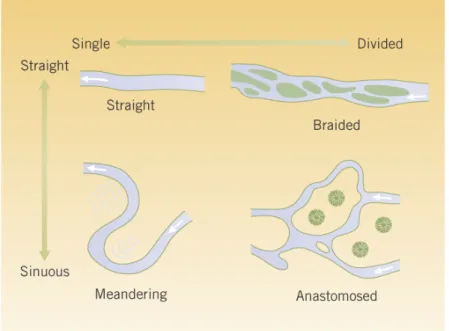 Figure 1.7 : Différentes formes d’écoulement en fonction de l’importance de la sinuosité dans  les cours d’eau  (Brunke et Gonser, 1997) 