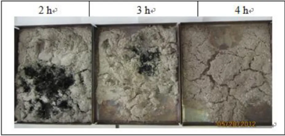 Figure 2. 4: Appearance of the ashes of  A. murale 6  after different durations of combustion at 550 °C 