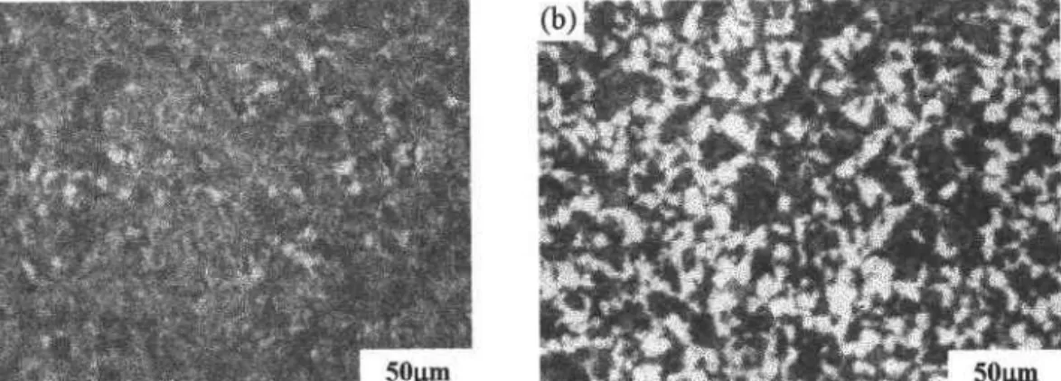 Figure 3  Microstructure  of specimen  heat treated  at 880oC  for 33min and cooled  at 46oClmin  without (a) and with (b) a l4T:magnetic  field, Field direction  is vertical in the picture