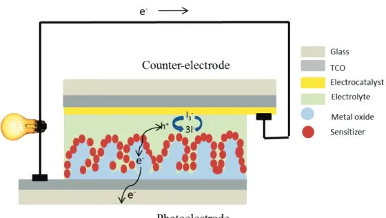 Figure 1.5 The device architecture of a typical liquid dye-sensitized solar cell. 