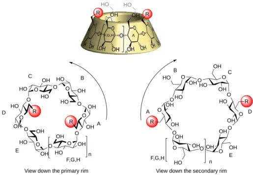 Figure   I-­‐13.   Nomenclature   of   functionalized   cyclodextrins   