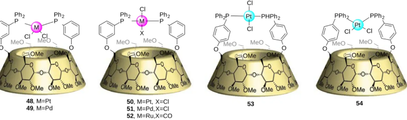 Figure   I-­‐26.   6A,6D   substituted   diphosphine   ligands   for   CD-­‐metal   complexes   