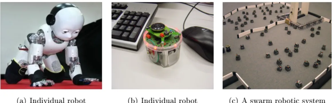 Figure 1.1: Examples of existing robots (a) Individual robot: RobotCub, complex child humanoid robot; (b) Individual robot: e-puck, relatively simple individual robot; (c) the swarm robotic system: SwarmBots