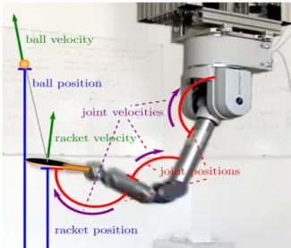 Figure 3.2: The sate space used in the modelling of a robot reinforcement learning task of paddling a ball