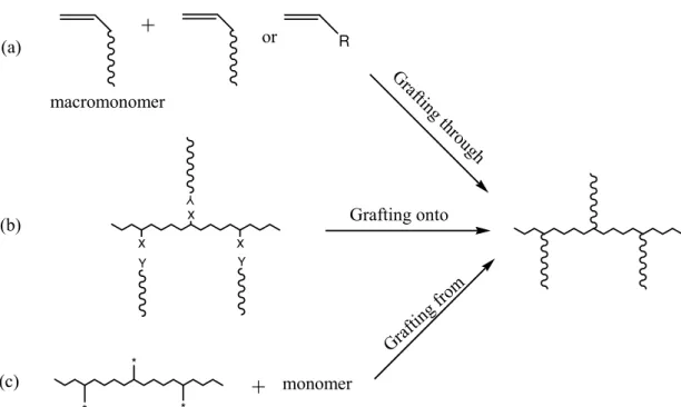 Figure 2.1 Scheme of three methods for the synthesis of graft copolymers: (a) “grafting through”,  (b) “grafting onto” (X and Y are the pendant functional groups of the backbone and the  end-functional groups of grafts, respectively), (c) “grafting from” (