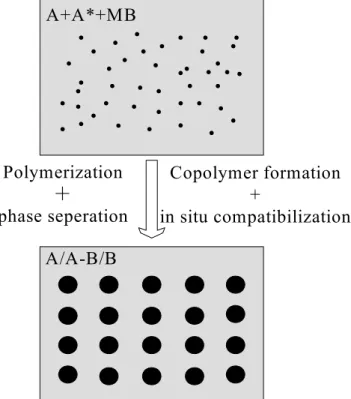 Figure 2.2 Schematic description of the in-situ polymerization and in-situ compatibilization