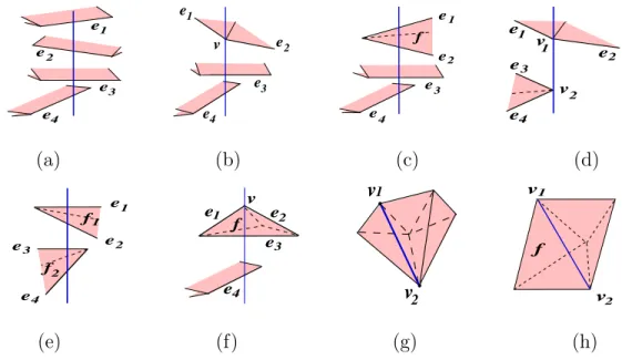 Figure 2.9. The eight types of vertices of the 3D visibility skeleton. (a) EEEE , (b) VEE , (c) FEE , (d) VV , (e) FF , (f) FvE , (g) FE and (h) FVV .