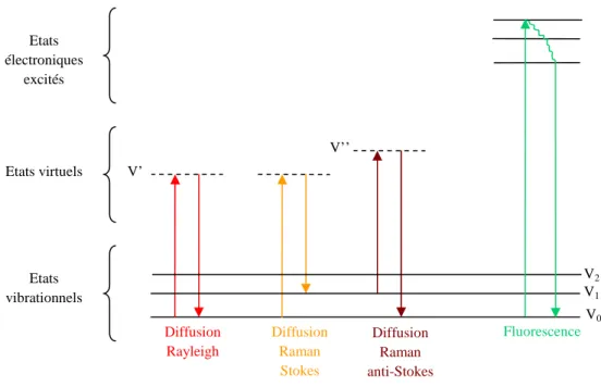 Figure 2.2: Diagramme d’énergie montrant l’origine des raies Stokes et Anti-Stokes du spectre  Raman 