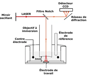 Figure 3.1: Schéma de la cellule électrochimique utilisée pour les mesures Raman 
