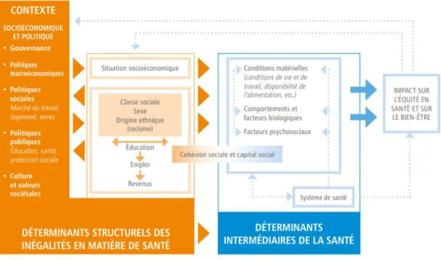 Figure 1 : Cadre conceptuel de la commission des déterminants sociaux de la santé 