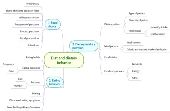 Figure 8 : Cadre conceptuel du comportement alimentaire 