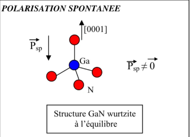 Figure III.6 : Polarisation spontanée dans le cas de GaN wurtzite 