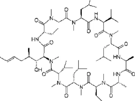 Figure 23. Structure chimique de la CsA. 