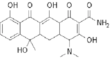 Figure 27. Structure chimique commune aux dérivés de la tétracycline composée de quatre noyaux cycliques accolés