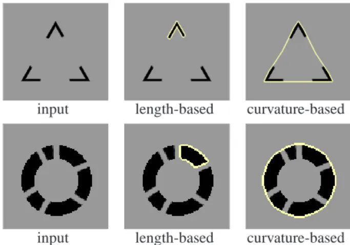 Figure 1 demonstrates the effect of curvature in this func- func-tional: it compares a version with length-regularity only to a version with curvature-regularity only
