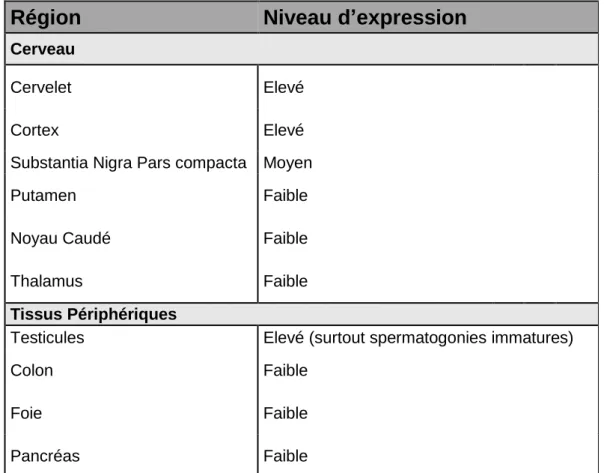 Tableau 1 : Répartition de l’expression de la huntingtine dans les tissus nerveux et les  tissus périphériques