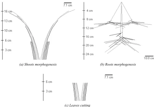 Figure 2: Screenshot of a plant simulation with UNIF.
