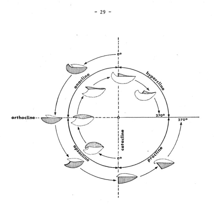 Fig.  13.  -  Diagramme montrant  les  diverses  positions  des  interareas  brachiale  et pédonculaire