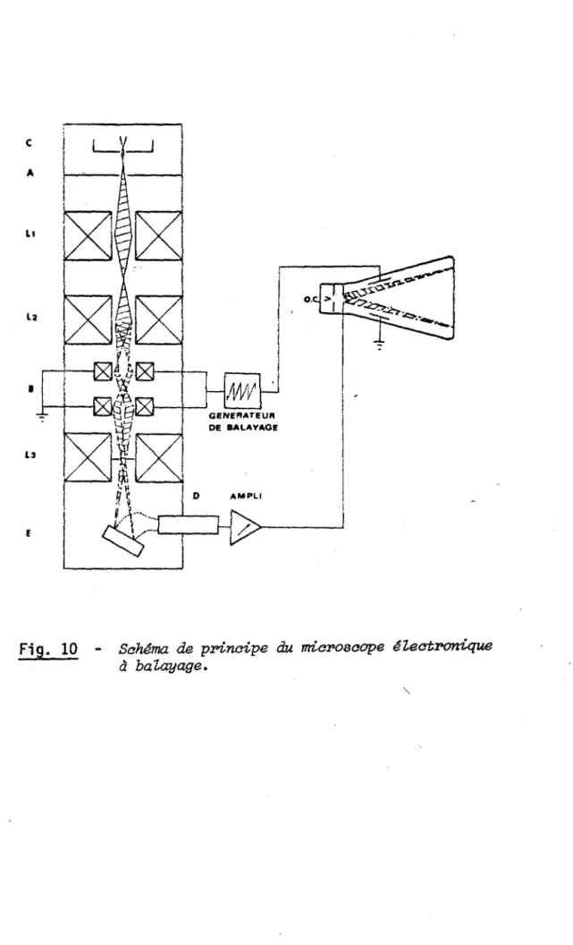 Fig.  10  - Schéma  de  principe  du  rm.cPo8cope  électronique  à  balayage. 