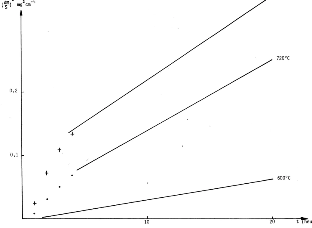 Fig.  23  Carrés  des  gains  de  masse  en  fonction  du  temps  (1,8  at.  %  Mo  - P  =  30  torrs)
