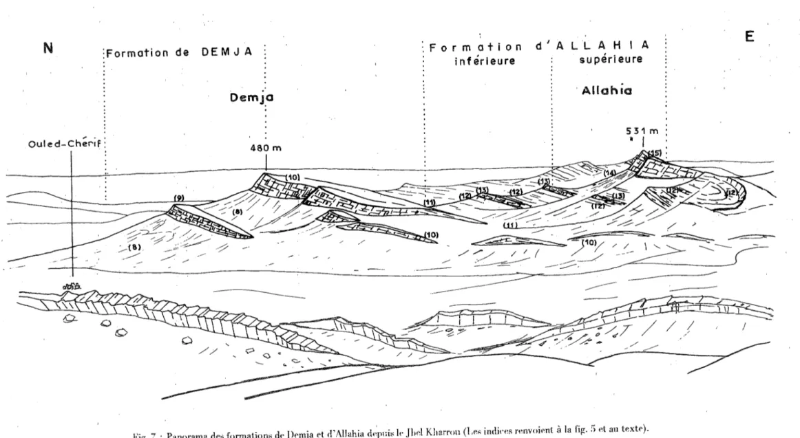 Fig. 7  :  Panorama  de,;  formation,;  dt•  J&gt;f'mja  t&gt;t  d'Allahia  dt~puis  !t·  jhd  Kharrou  (Le;;  indi('t~s n~nvoient  à  la  fig