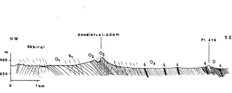 Fig.  12  :  Formation de  Drioukat au  coeur de  l'anticlinal  de  la  Koudiat-el-Adam