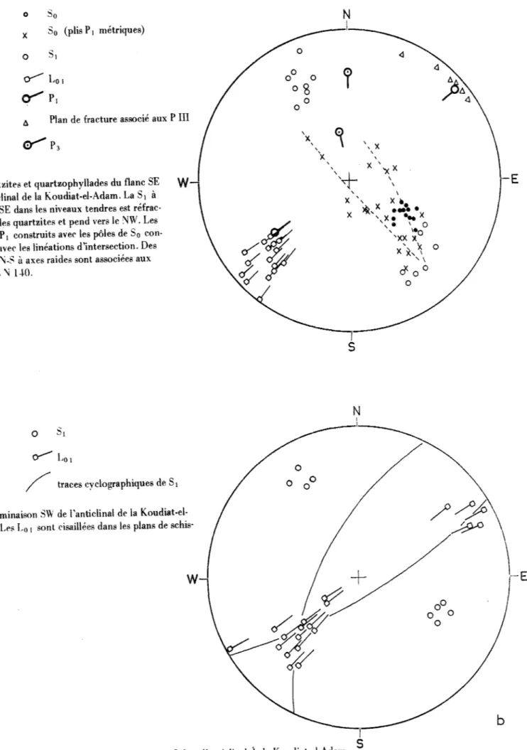 Fig.  13  :  Structures de  la  phase l  dans l'anticlinal  de la  Koudiat-el-Adam. 