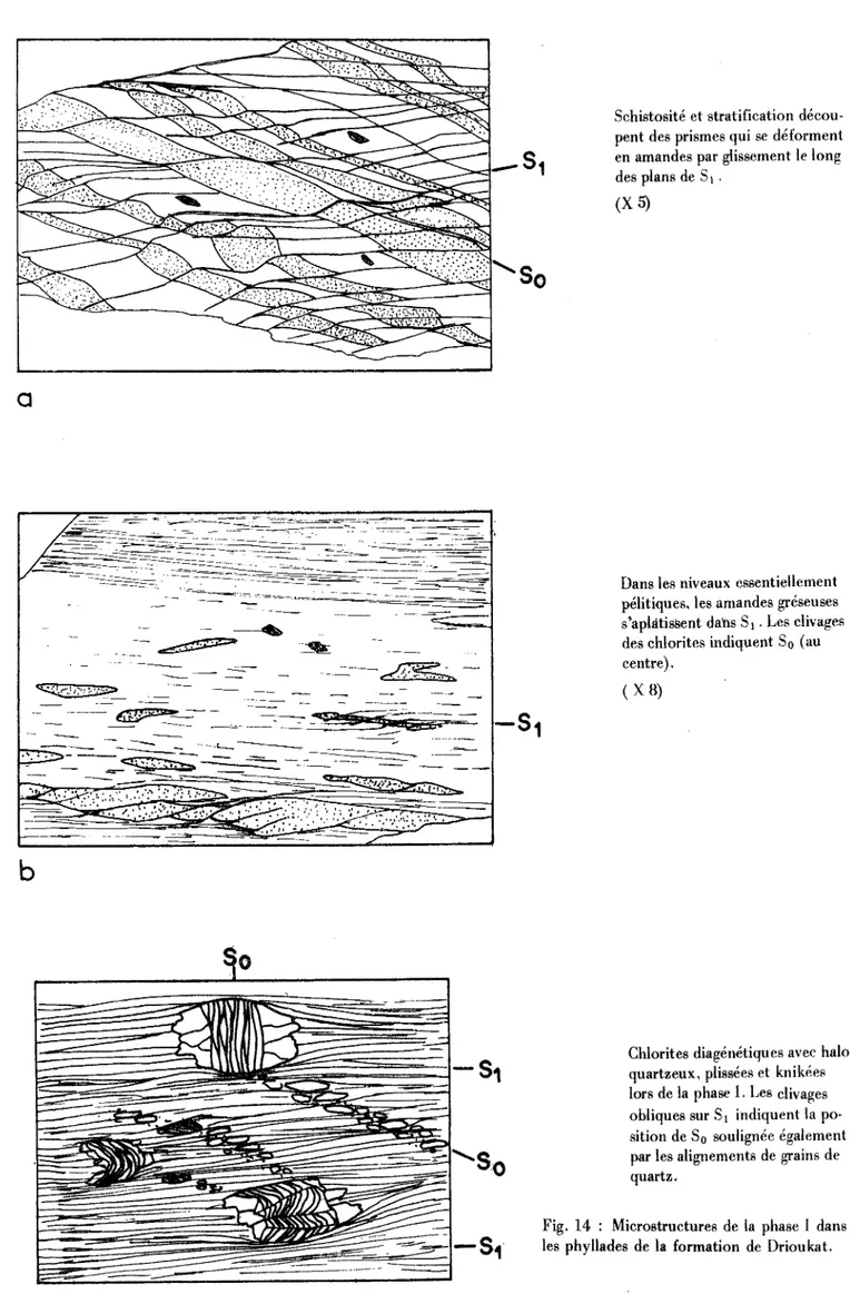 Fig.  14  :  Microstructures  de  la  phase  1 dans  les  phyllades  de  la  formation  de  Drioukat