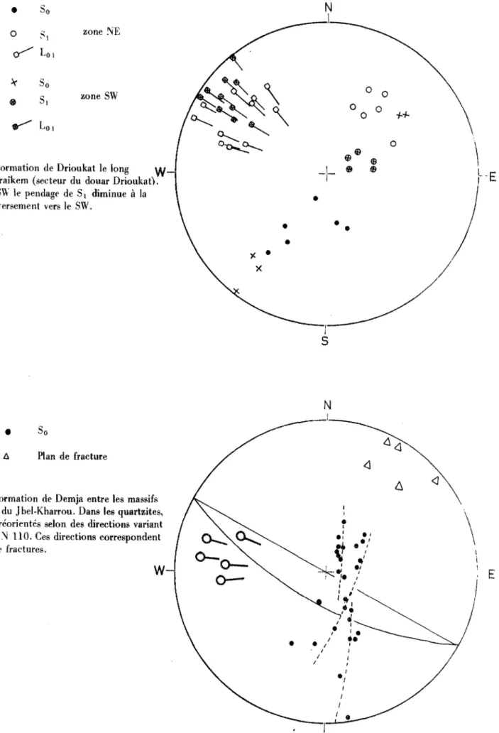 Fig.  L8  :  Formation  de  Drioukat  le  long  W 