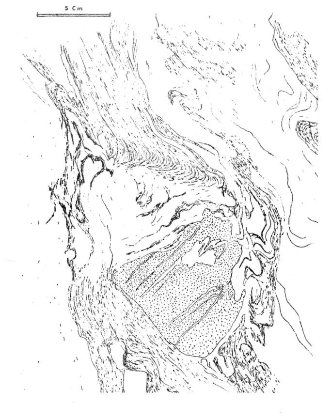 Fig.  3  Exemple  de  figures  découlement  dans  une  agmatite  (Promenade  au  Clair  de  Lune)  - voir  photo  de  couverture