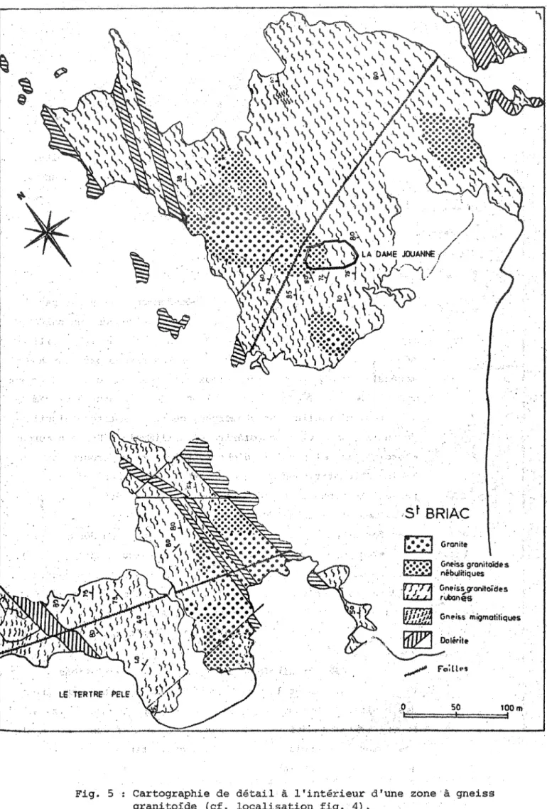 Fig.  5:  cartographie  de  détail  à  l'intérieur  d'une  zone'à  gneiss  9ranito!de  (cf