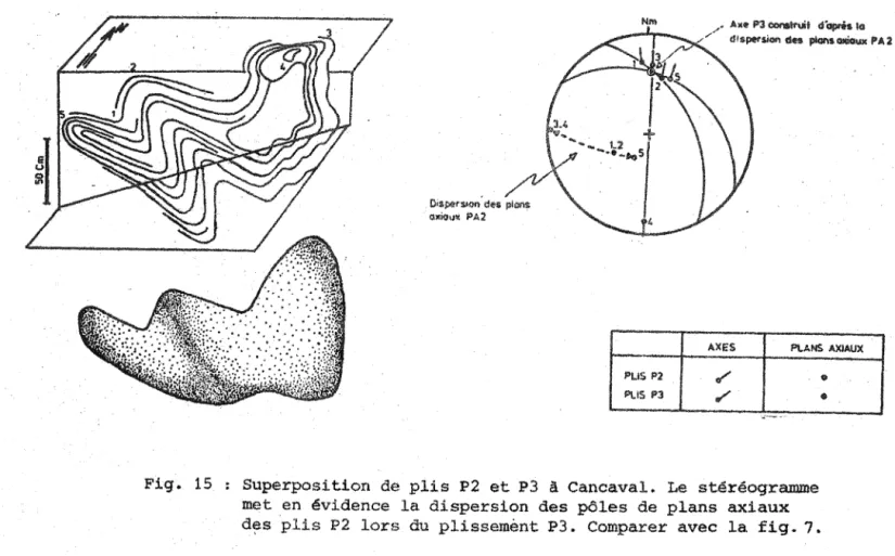 Fig.  15  Superposition  de  plis  P2  et P3  à  Cancaval.  Le  stf§réog:ramme 