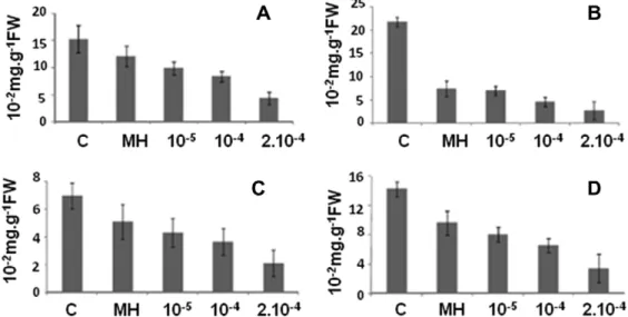 Fig. 2. Dose effect of sulcotrione (10 5 , 10 4 and 2  10 4 M) for 45 h at 25 °C, on pigment contents in Vicia faba leaves