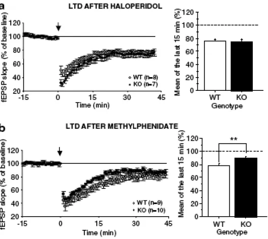 Figure  2  Haloperidol,  but  not  methylphenidate,  fully  restores  LTD  in  DAT-KO  mice