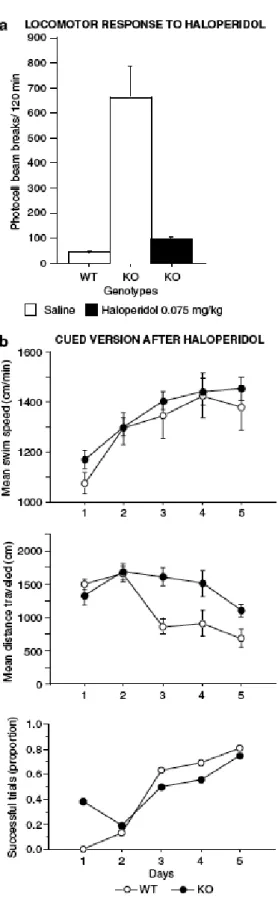 Figure  5  Haloperidol  improves  the  performances  of  DAT-KO  mice  in  the  cued  version  of  the  Morris  watermaze
