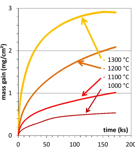 Fig. 1. The thermogravimetry curves obtained for the four temperatures of  oxidation of the Ni 25Cr alloy in wet air 