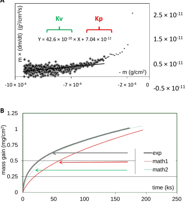 Fig. 2. Example of the thermogravimetry results at 1100 °C: {m × (dm / dt) = f(- f(-m)} plot of the mass gain records (A) for the determination of the constants Kp 