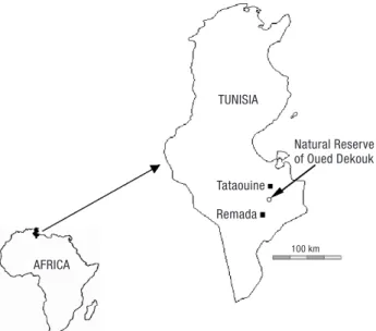 Figure 1. Location of the study area, the Natural Reserve of Oued Dekouk, between the towns of Tataouine and Remada,  Tunisia