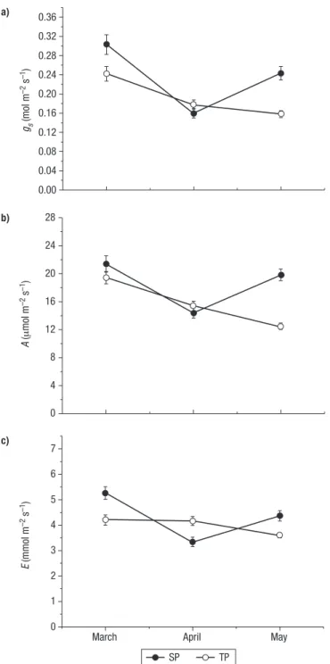 Figure 4. Xylem cavitation vulnerability curves for spontaneous (SP) and transplanted (TP) shrubs of Periploca angustifolia represented as the percentage loss of hydraulic conductivity (PLC) as a function of stem water potential ( Ψ stem )